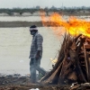 적어도 40구의 시신이 강둑에, 인도에서 장작값 오르자 수장시킨 듯
