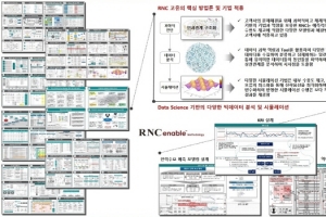 라이언앤코, 시나리오 플래닝 기반의 전략 수립 컨설팅 서비스 제공