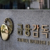 ‘분쟁조정’ 속도 높이는 금감원... 이달말 기업은행 ‘디스커버리펀드’ 분조위