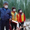 울산 태화강 국가정원 죽순을 지켜라