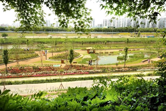 서울 구로구가 위해 식물 등을 걷어내고 장미원, 습지원, 창포원, 잔디마당, 농촌체험장 등 다양한 공간을 마련한 안양천 생태초화원. 구로구 제공