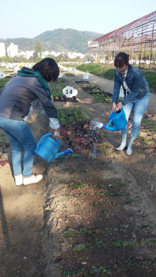 서울 서초구가 시행하는 ‘2021년 건강한 가족키움 텃밭 가꾸기 사업’의 모습. 서초구 제공.