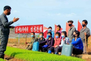 [포토] 북한의 봄, 모내기철 풍경