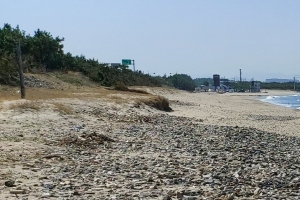서울신문 보도 그후…경북 동해안 백사장 지난해 축구장 13.8개 면적 사라져