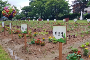 [한 컷 세상] 여야 상생과 협력의 씨앗