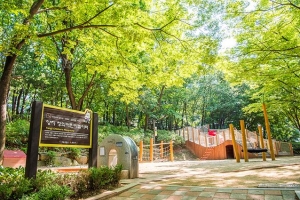 양천 ‘스마트 동심’… 감수성도 모험심도 가득한 창의놀이터