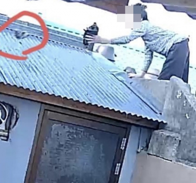 이웃집 노인이 길고양이 사체를 던지는 모습이 CCTV에 찍혔다. 동물권단체 케어 제공.