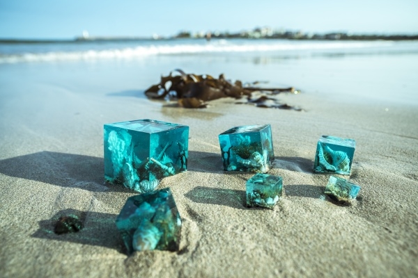 바다조각 (사진출처=파랑숲)