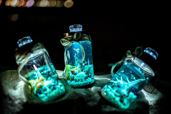 고래램프 (사진출처=파랑숲)