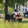 [서울포토]잠원한강공원에서 즐기는 휴일