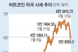 비트코인 버리고 알트코인에 빠진 美 밀레니얼세대