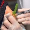 “AZ접종 30대, 9일 뒤 두통·구토”…국내 첫 백신 부작용 사망