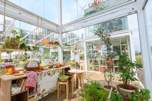 안양천 자연학습장에 가면 도시농업 배우고 힐링 충전