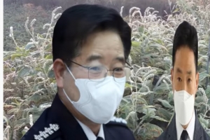 ‘경찰청장이 손정민 수사팀 질타했다?’ 가짜뉴스 퍼트린 유튜브