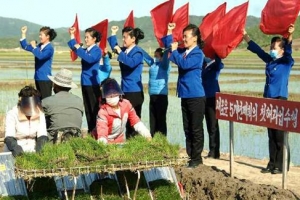 [포토] ‘모내기 열중’ 선전선동 활발한 북한 농촌