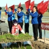 [포토] ‘모내기 열중’ 선전선동 활발한 북한 농촌