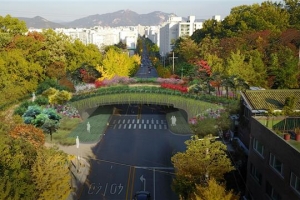 도봉 ‘해등로 녹지연결로’ 생태적 기능 보완해 공사 재개