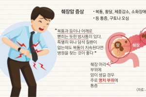 ‘침묵의 암’ 췌장암… 갑작스런 복통·황달 무시 마세요