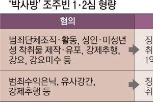 초범, 합의… 그래서 조주빈을 3년 감형했답니다