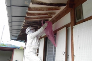 경북도, 야생동물이 끼친 인명피해 보상해 준다…5년간 835명 혜택