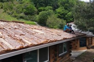 세상과 거리두기… 자연과 거리 줄이기… 자신과 거리 없애기