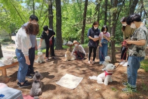 ‘강동 서당’ 찾은 개, 입질 사라진다
