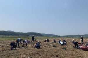 영농철 코로나19로 인력난 가중...경남 농사일 외국 노동자 집단감염 비상