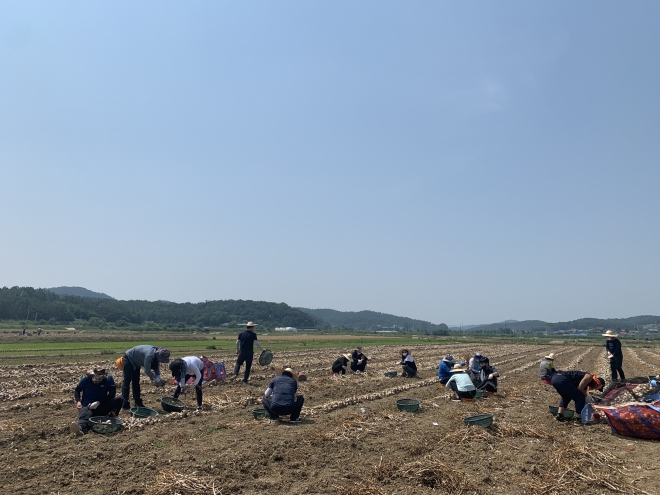 코로나19로 농촌 일손부족 비상 