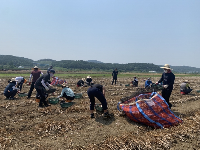 코로나19로 농촌 일손부족 비상. 