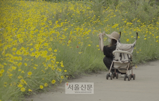 지난 8일 경기도 가평군 청평면의 한 공원에서 김모씨가 휴대전화로 유튜브 콘텐츠를 촬영하고 있다.