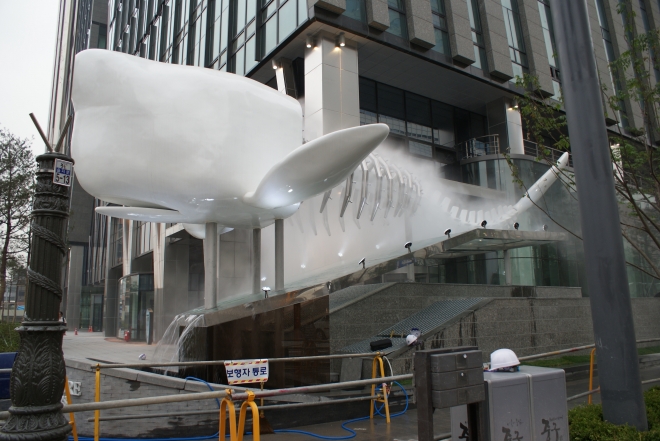 물줄기로 몸체를 살려내는 알비고 고래