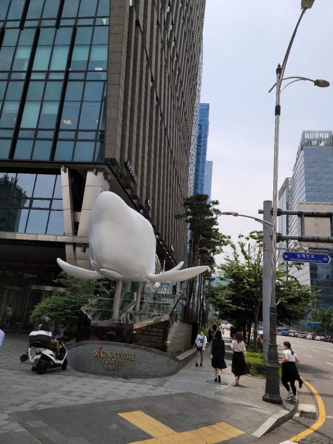 청계천 알비노 고래