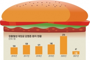 가벼운 식중독이 ‘햄버거병’ 될라… 육류 충분히 익혀 드세요