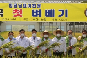 이천서 전국 첫 벼 베기