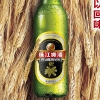 ㈜MK글로리아, 중국 3대 맥주 출시… 고품격 맛의 깊이 선물