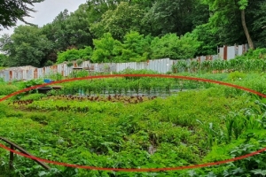 경찰, 김경협 의원 부천역곡지구 부동산거래신고법 위반 혐의 수사