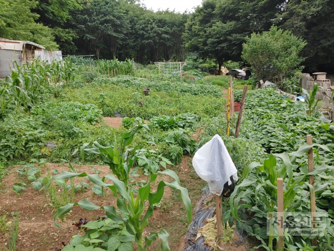 김경협 의원이 부동산 거래신고법 위반 의혹을 받고 있는 부천시 역곡공공택지지구 내 역곡동 토지. 