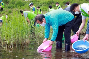 남양주시, 붕어 63만 마리 풀어 동양하루살이 때려잡는다