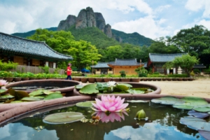 지자체, 단체 관광객 모시기 ‘어게인’…지역경제 활성화