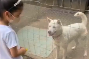 [포토] ‘기성용♥’ 한혜진, 딸 시온 근황 공개...아빠 닮은 큰 키