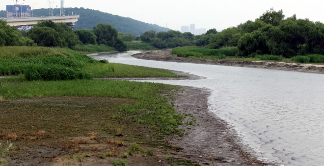 마곡대교 위쪽 하중도 ‘어유도’와 둔치 사이를 흐르는 물골 전경. 수심이 낮고 유속이 느려 다양한 조류들이 편하게 쉬었다가는 장소다