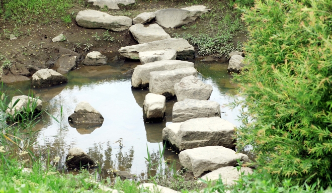 폭이 좁은 물고랑에 놓인 돌 징검다리가 정겹다. 건너면서 물속을 엿보는 재미가 있다.