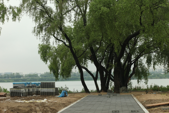 강기슭 버드나무 아래 쉼터를 만들기 공사를 하고 있다. 이로 인해 편의성이 향상된 만큼 상당한 면적의 수풀은 사라진다.