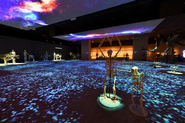 디지털 기술과 3차원 실물 모형으로 구성한 전시 공간 함께하는 여정’. 국립중앙박물관 제공