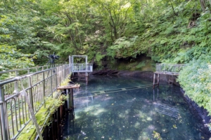 상수원 물 못 뽑자 고작 10m 밖서 슬쩍…울릉군, 주민까지 물로 본 생수 ‘꼼수’