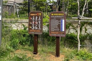 치매 막는 방패… 마포, 인지 건강 점검해요