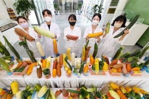 이게 다 오이라고?… 세계 유전자원 총집합