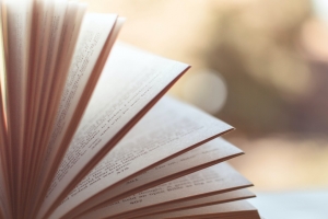 성도착증·성매매 다룬 작품 읽힌 외국인 교수…한국외대 재임용서 제외