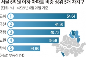 서울 6억 이하 아파트 셋 중 하나 ‘실종’