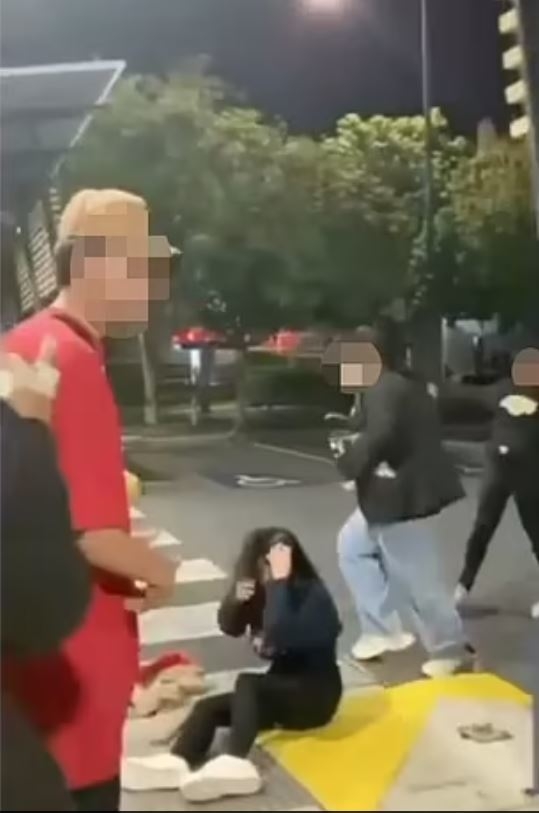 호주 10대 학생들이 아시아계 여학생을 집단 폭행하는 동영상이 최근 공개되면서 공분을 사고 있다. 데일리메일 캡처 